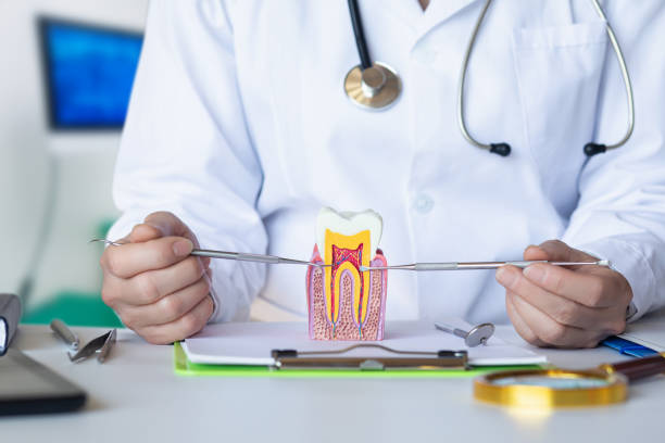 Best Pediatric Emergency Dentist in Prices Fork, VA